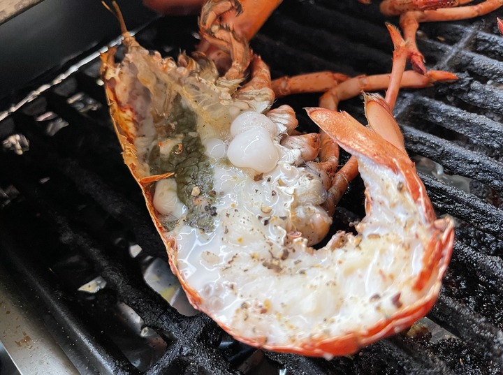 Ovenplus美式烤肉神器圖多烤起來開箱