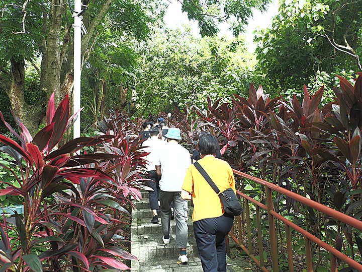 嘉禾新村、臺北水道水源地 唧筒室(自來水博物館)、淨水池(觀音山蓄水池)、量水室 — 大臺北現存四座眷村之一與自來水系統之濫觴