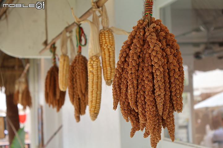 輕巧有型、靈巧多變！台中都會散策with Canon EOS R50！