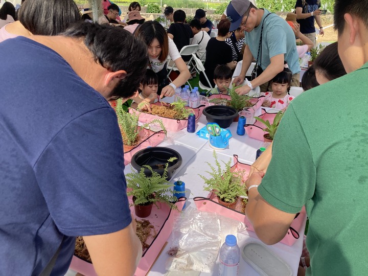 共好稻來生活節，感受VOLVO生根發芽的永續能量。