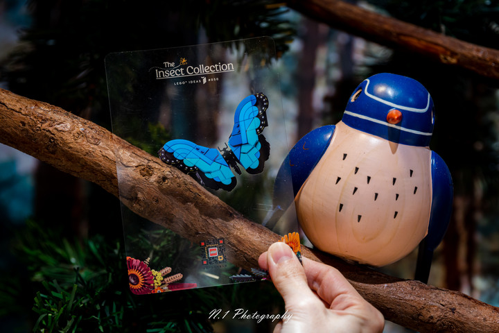 Zfc x Lego Insect Collection