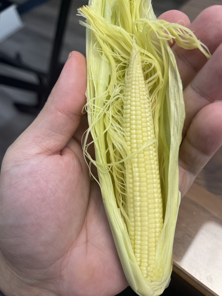 Ovenplus美式烤肉神器圖多烤起來開箱