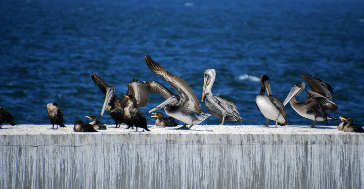 D500+Tamron 18-400mm（B028）