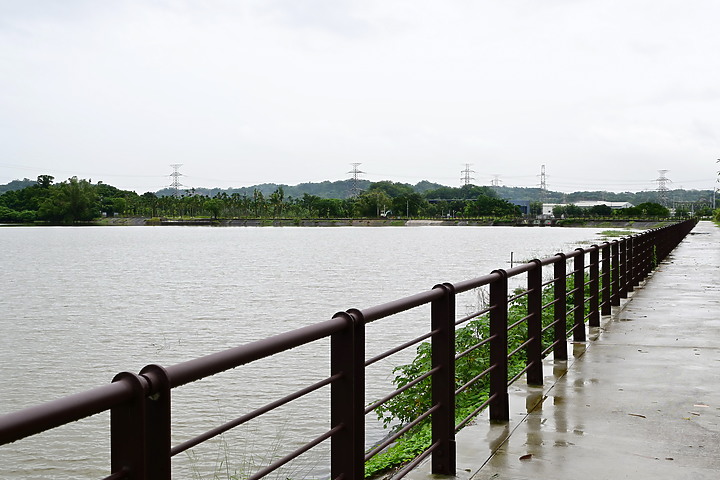 點我看大圖 Nikon 180-600mm雨中觀音湖開箱(Z8+1.4X),拍池鷺後8分鐘下大雨。