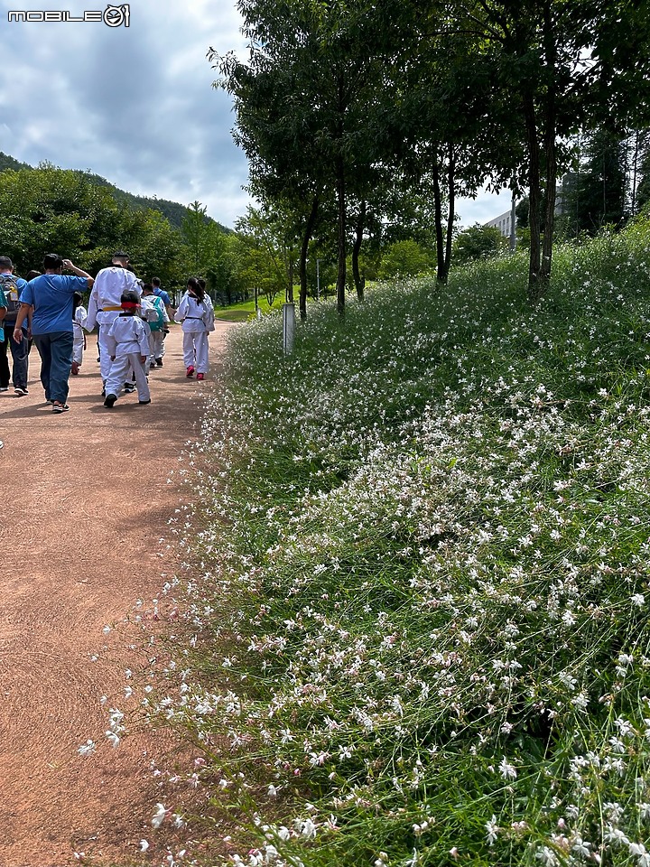 2023 韓國茂朱跆拳道園介紹