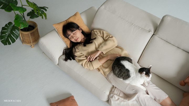 沙發先生款式猶豫，低背還高背好？
