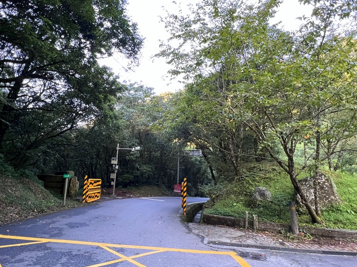 明池森林遊樂區 - 北橫路段晨跑
