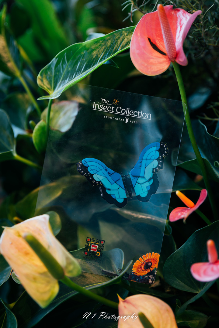 Zfc x Lego Insect Collection