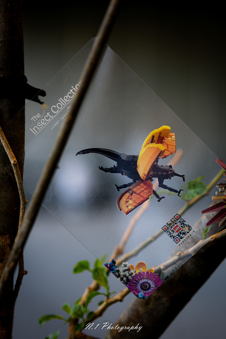 Zfc x Lego Insect Collection