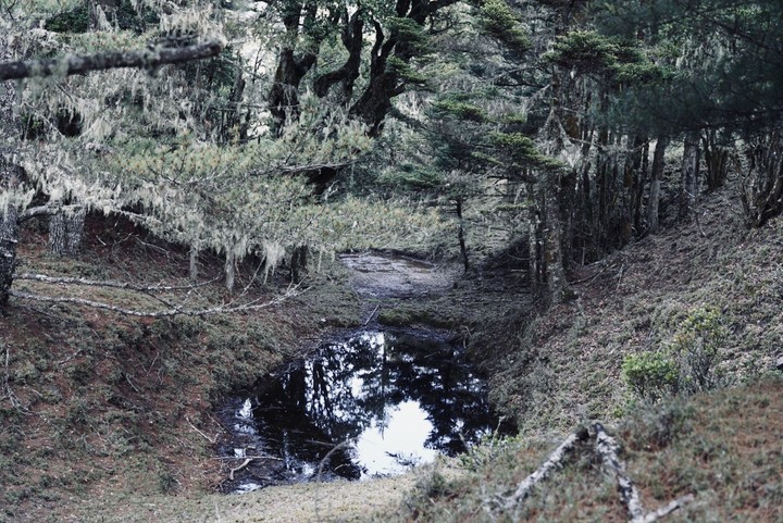 【南二段鹿角寶寶團】達芬尖山、大水窟山屋,來自鹿野忠雄的 南二段逸史
