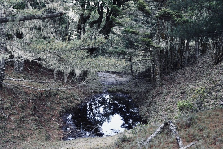 【南二段鹿角寶寶團】達芬尖山、大水窟山屋，來自鹿野忠雄的 南二段逸史