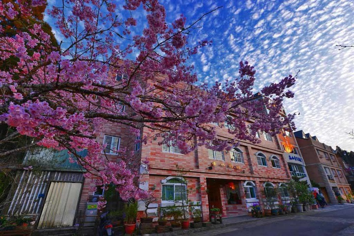 【阿里山住宿】Top3阿里山民宿飯店,新開幕!園區看日出!