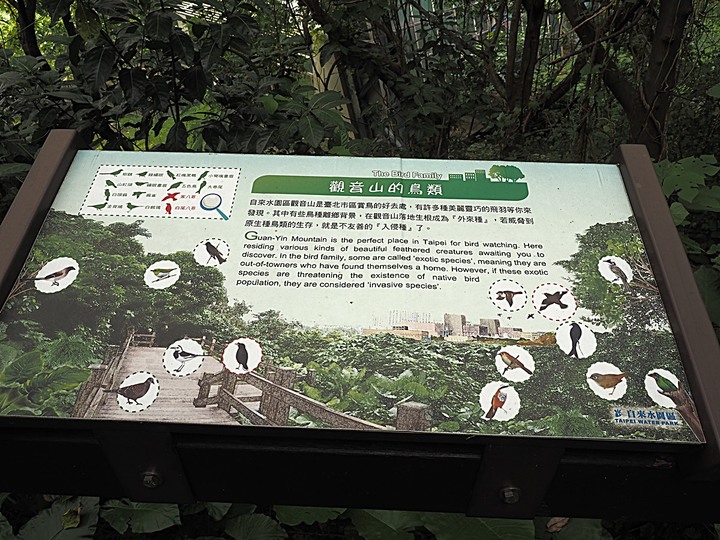 嘉禾新村、臺北水道水源地 唧筒室(自來水博物館)、淨水池(觀音山蓄水池)、量水室 — 大臺北現存四座眷村之一與自來水系統之濫觴