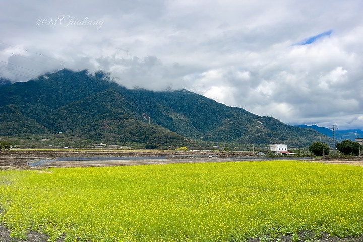 徒步環島 (十四) - Day28 花東縱谷 終於又開始徒步環島的新篇章