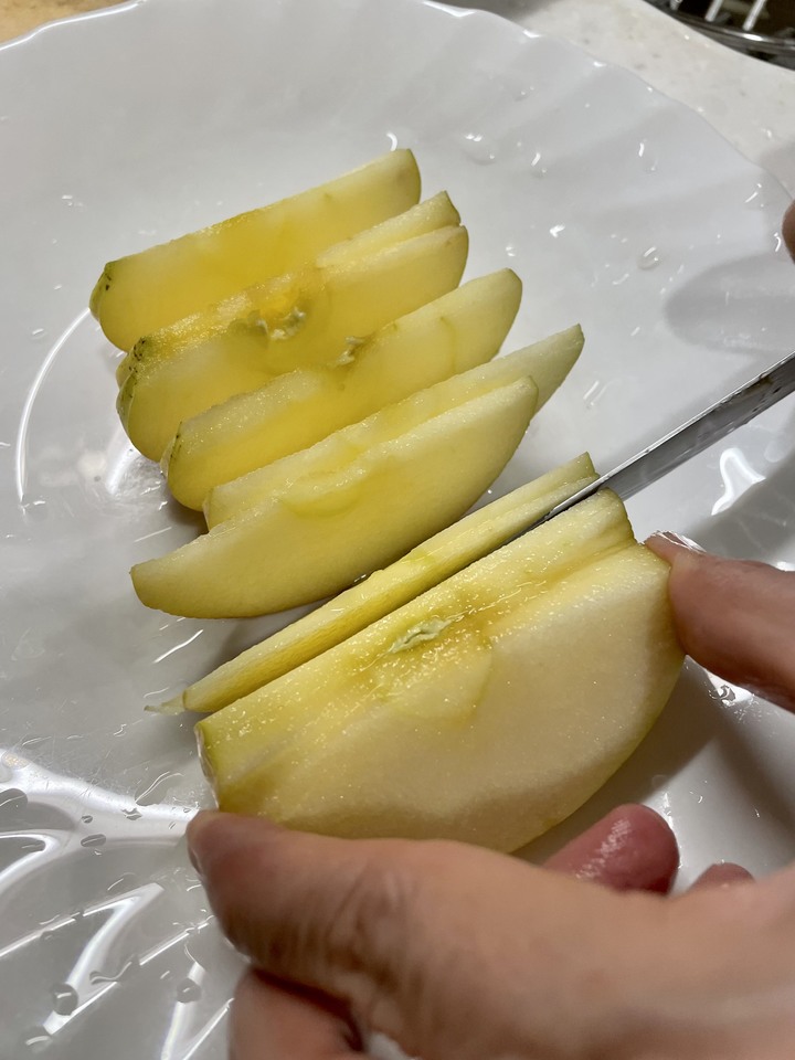 初次嘗試氣炸烤箱烤果乾！大成功！