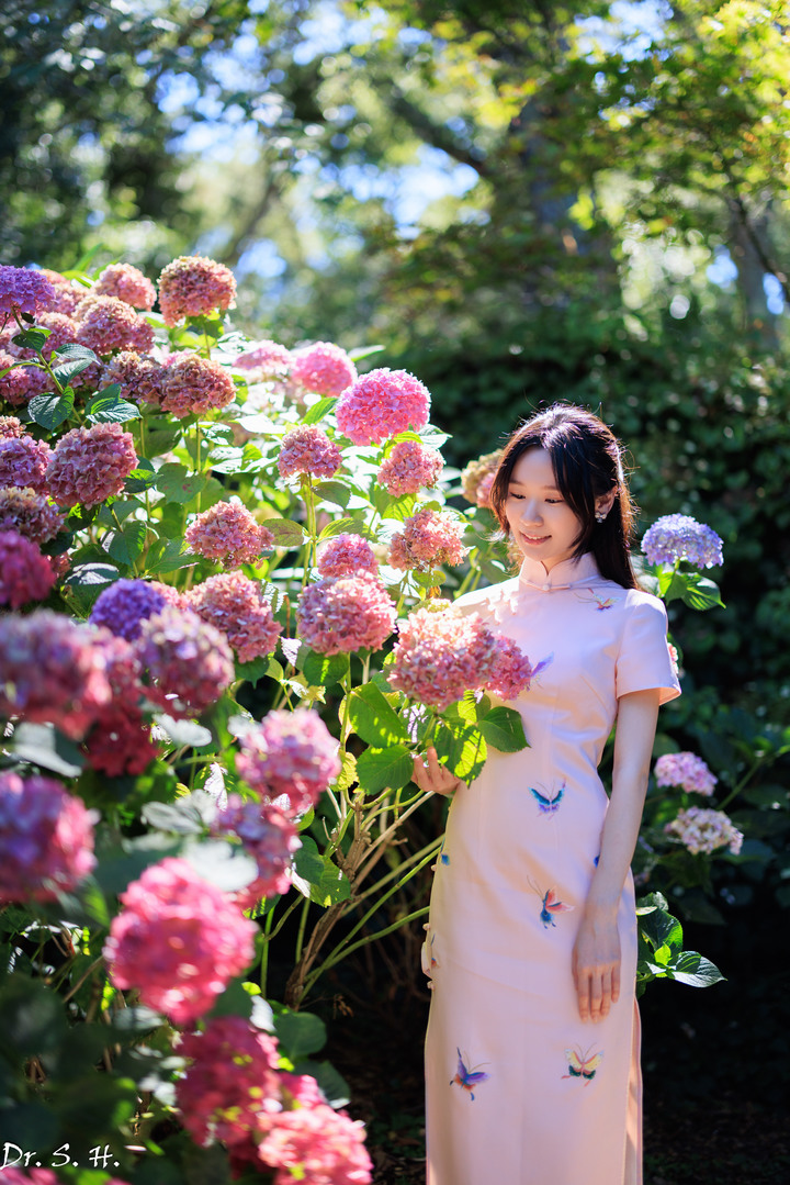 費蘿莉花園美女約拍