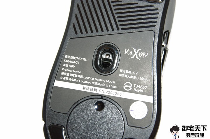 開箱｜【FOXXRAY 狐鐳】電競鍵盤滑鼠組推薦 - FXR-HKM-82 青瞳戰狐機械青軸鍵盤 + FXR-HM-75 隕星獵狐電競滑鼠