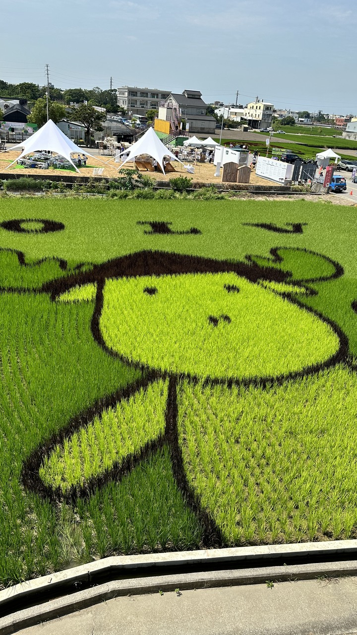 共好稻來生活節，感受VOLVO生根發芽的永續能量。