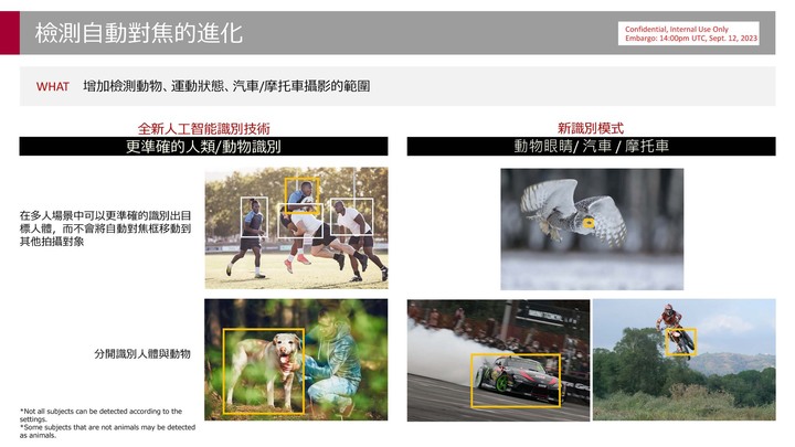 點我看大圖 Panasonic正式發佈G9II