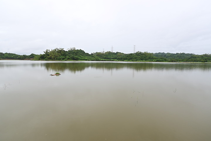 點我看大圖 Nikon 180-600mm雨中觀音湖開箱(Z8+1.4X),拍池鷺後8分鐘下大雨。