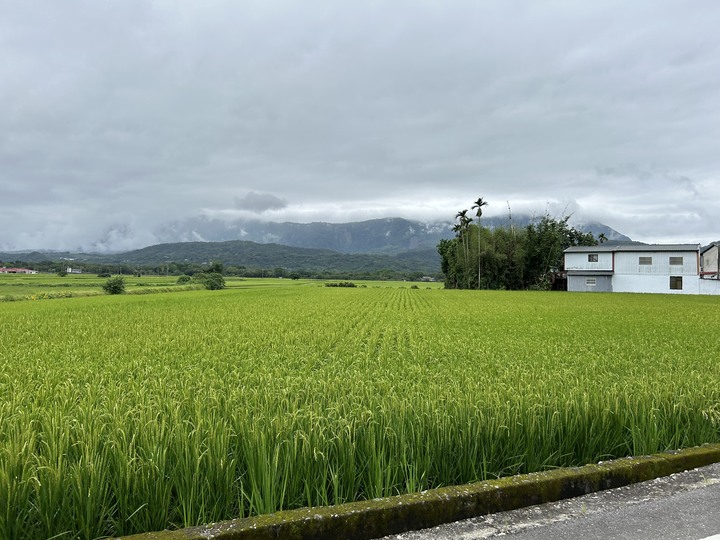 騎遊台灣最直長的公路(台9線)-月眉自行車道