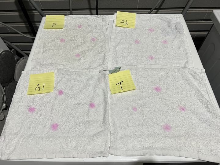 四款洗衣球測試