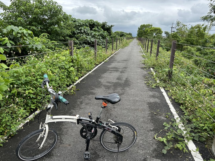 騎遊台灣最直長的公路(台9線)-月眉自行車道