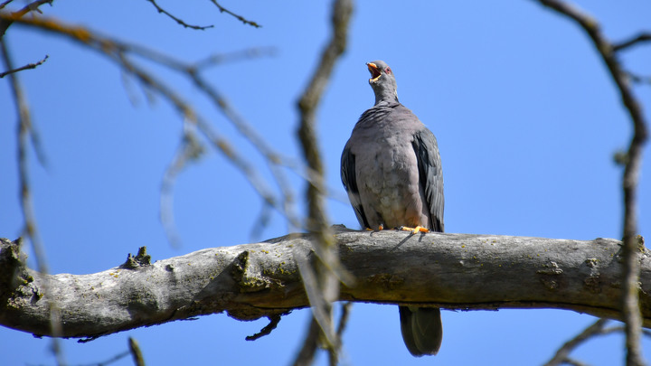 D500+Tamron 18-400mm（B028）