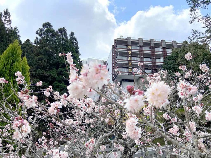 【阿里山住宿】Top3阿里山民宿飯店,新開幕!園區看日出!