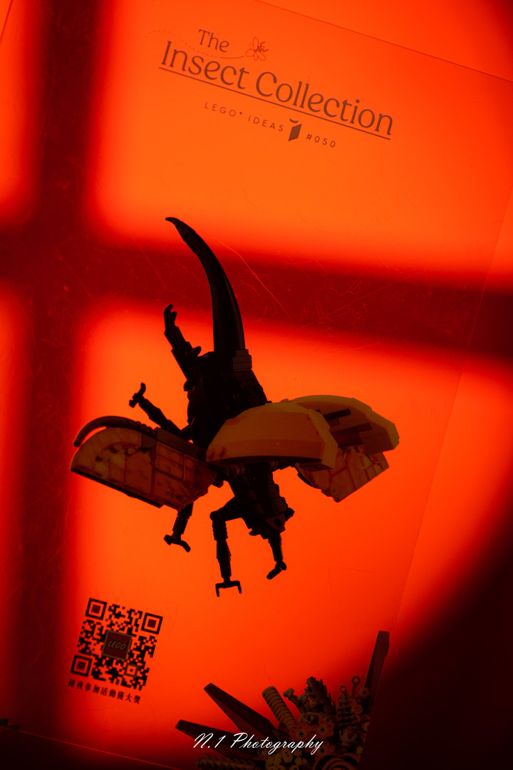 Zfc x Lego Insect Collection