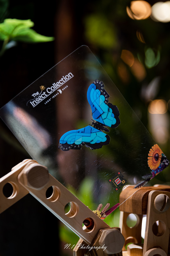 Zfc x Lego Insect Collection