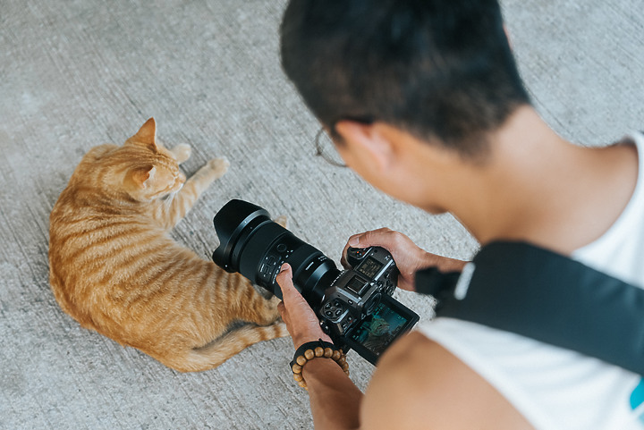 一代神鏡 Tamron 35-150mm f/2-2.8 DiIII VXD（A058）推出Nikon Z接環｜評測｜實拍