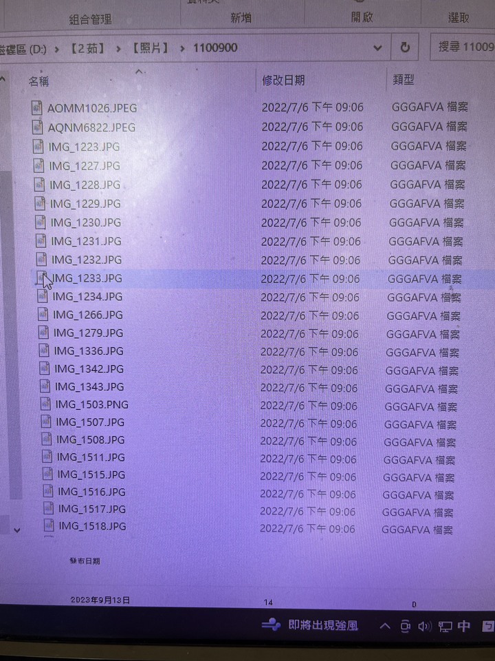 檔案類型跑掉