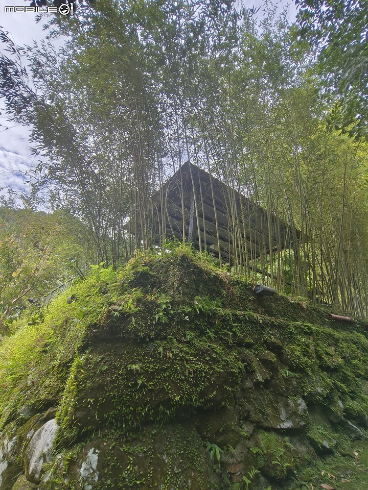 [食記] 新店日式庭院風餐廳－藏仙庵，放鬆享受無負擔日式家庭素食料理