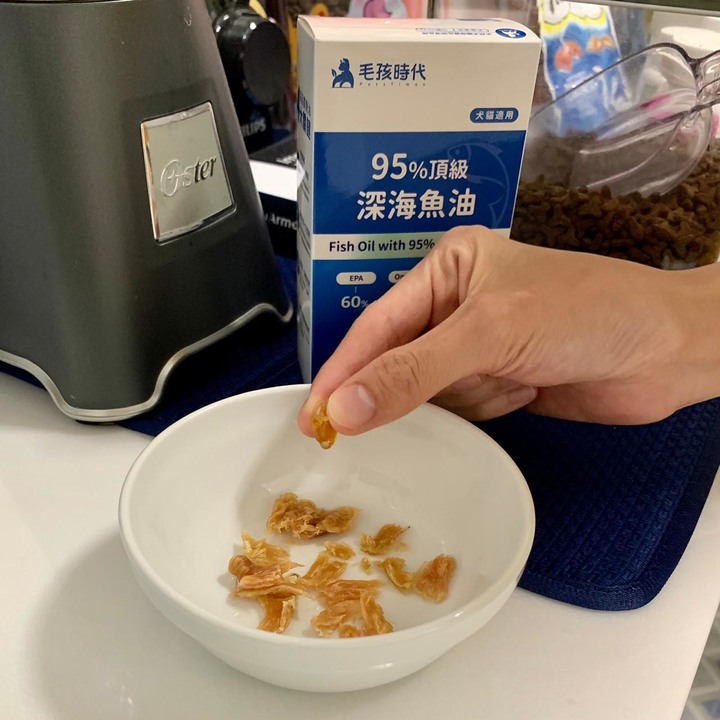 腎貓照護心得