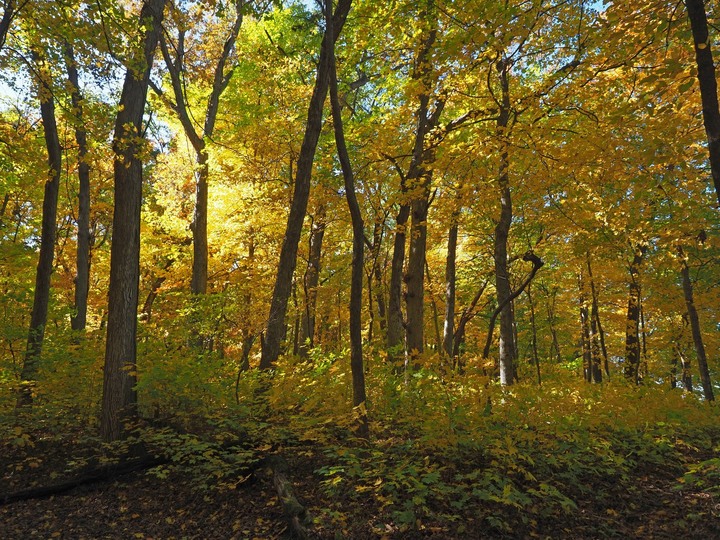 Ohio爸爸的相片書 再訪飢餓岩石州立公園Starved Rock State Park - 賞楓之旅