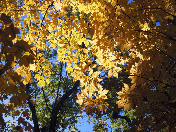Ohio爸爸的相片書 再訪飢餓岩石州立公園Starved Rock State Park - 賞楓之旅