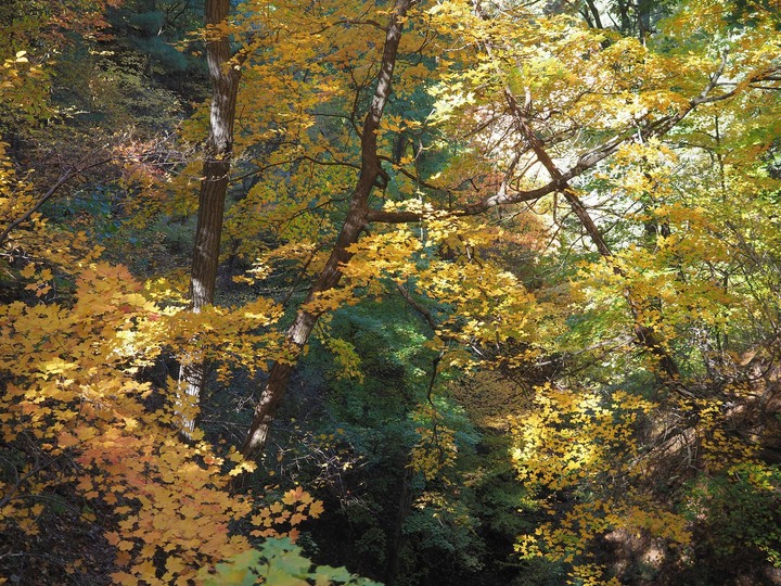 Ohio爸爸的相片書 再訪飢餓岩石州立公園Starved Rock State Park - 賞楓之旅