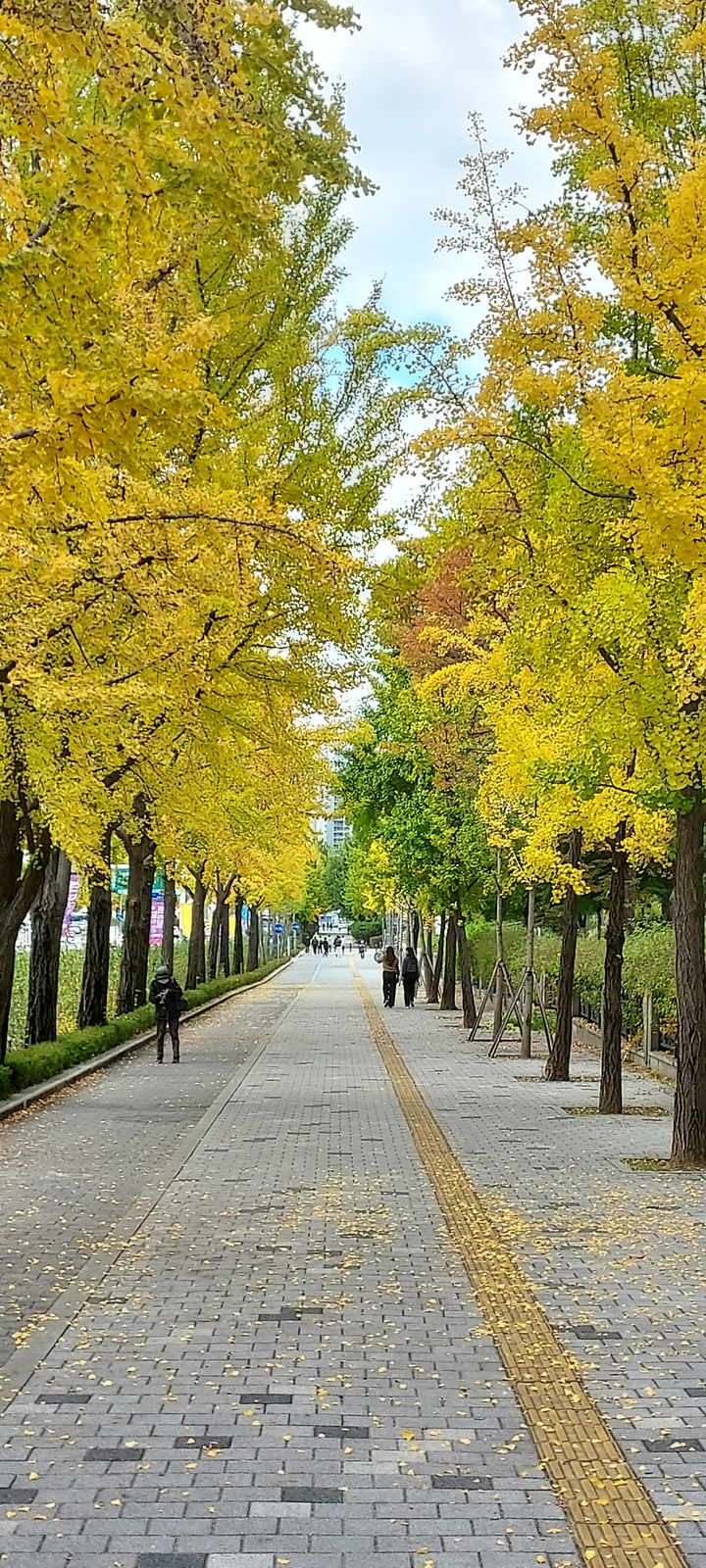 首爾day2自由行