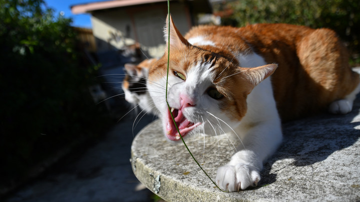 D500+Tamron 18-400mm（B028）