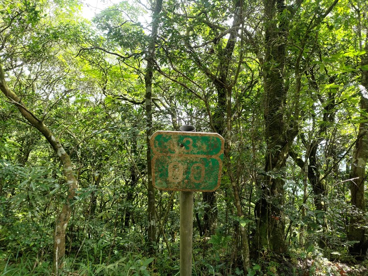 冷門路線 | 北宜公路支線 | 鶯子嶺電台