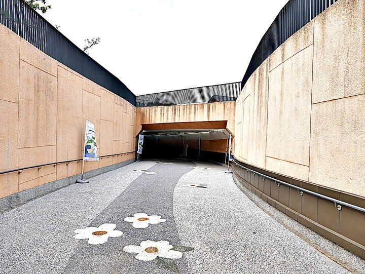 臺灣客家茶文化館、太平紅橋、龍潭大池、鍾肇政文學生活園區、武德殿 — 茶鄉龍潭一日行旅,外掛香噴噴的炸全雞配涼麵