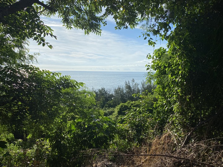 台股近期的利空、包括今天的大跌都是刻意設計好的