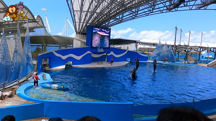 【親子景點 | 遊記】去遠雄海洋公園看人魚表演，記得要預約!!!