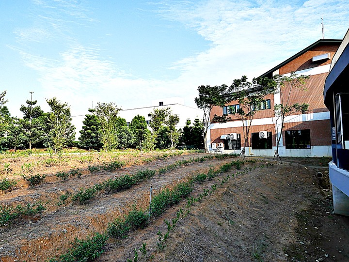 臺灣客家茶文化館、太平紅橋、龍潭大池、鍾肇政文學生活園區、武德殿 — 茶鄉龍潭一日行旅,外掛香噴噴的炸全雞配涼麵