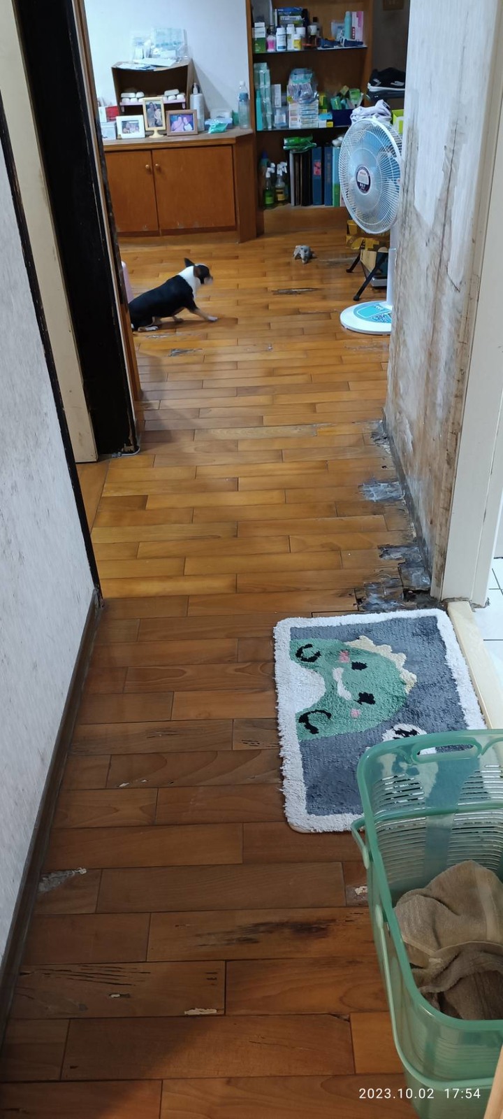 中和電梯大樓兩房裝修