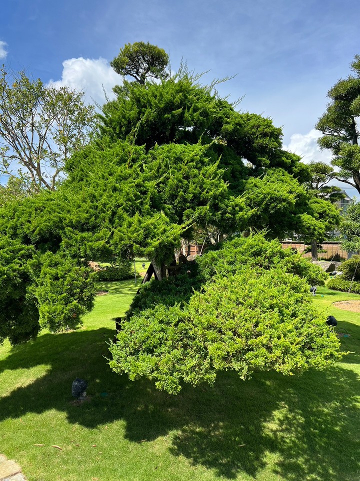 陽明山的秘密基地....先生的園參訪心得