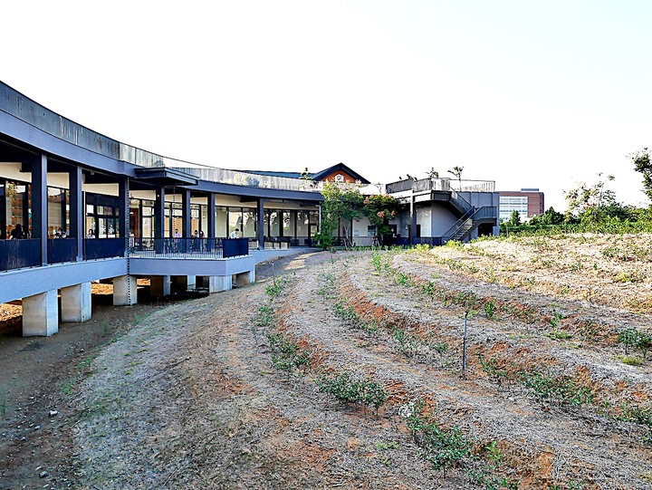 臺灣客家茶文化館、太平紅橋、龍潭大池、鍾肇政文學生活園區、武德殿 — 茶鄉龍潭一日行旅,外掛香噴噴的炸全雞配涼麵