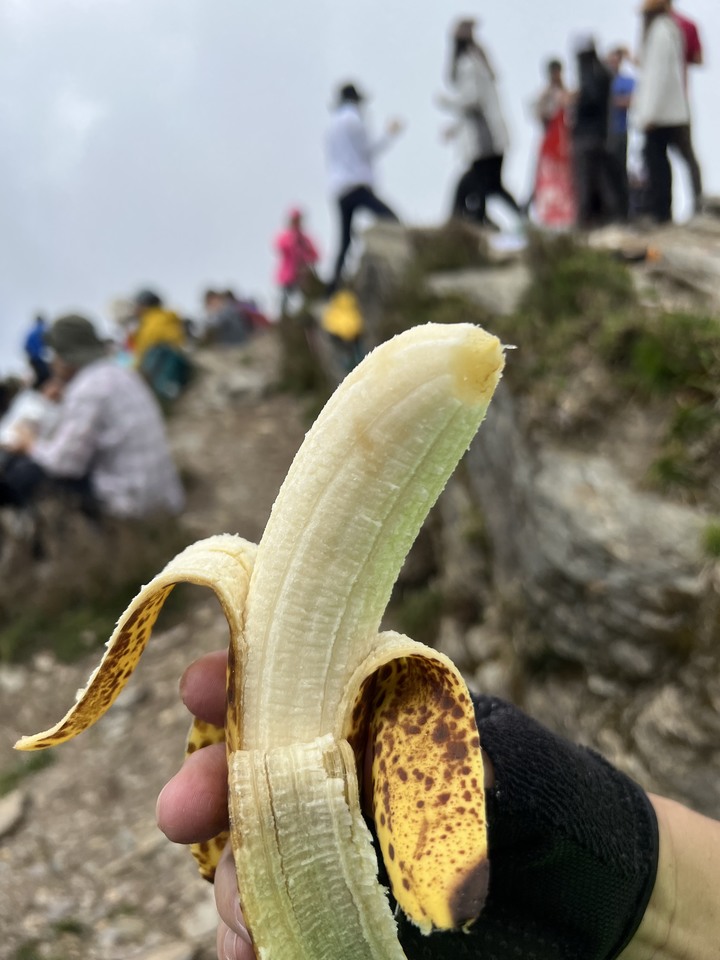 2023 弱雞遊西巒郡大