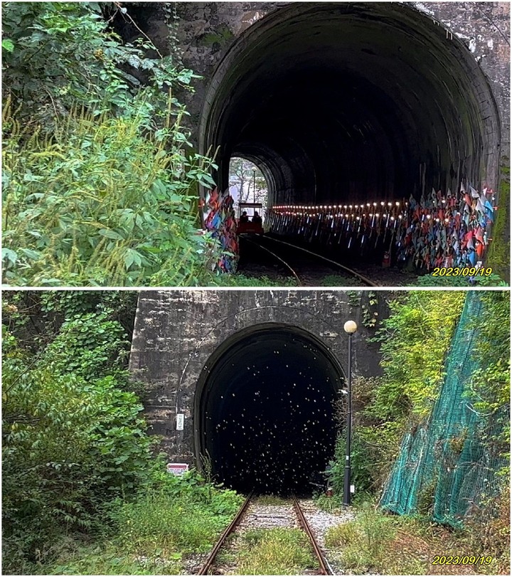 韓式浪漫 - 江村鐵道自行車